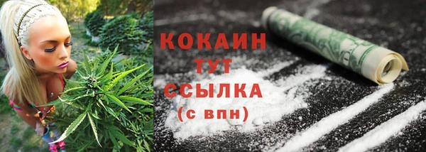 первитин Осинники