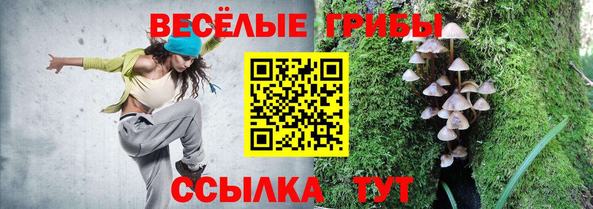 Галлюциногенные грибы мухоморы Ртищево