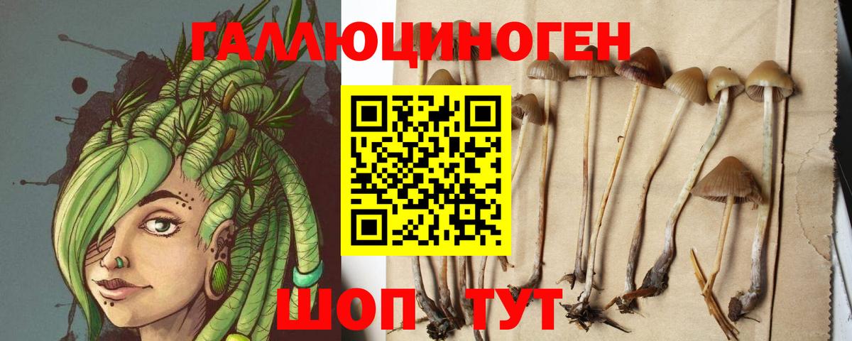 Псилоцибиновые грибы мухоморы  Ртищево  Галлюциногенные грибы GOLDEN TEACHER 