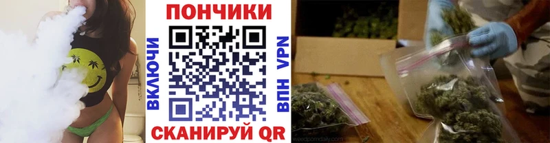 Шишки марихуана индика  hydra сайт  Ртищево 